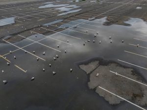 An aerial view over an empty paved parking lot on a cloudy day in The Bronx, NY. Taken with a drone camera after the rain, you see large puddles with seagulls in the water.