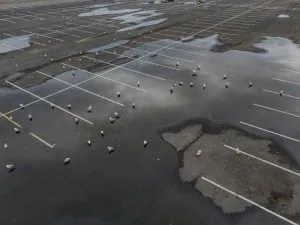 An aerial view over an empty paved parking lot on a cloudy day in The Bronx, NY. Taken with a drone camera after the rain, you see large puddles with seagulls in the water.