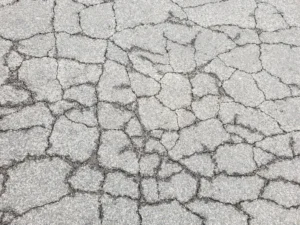 Cracks forming in asphalt pavement