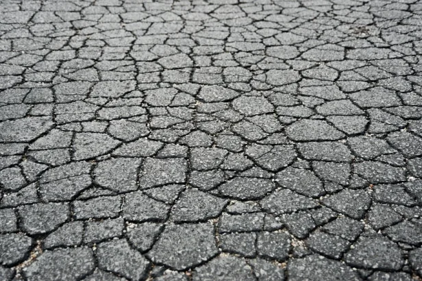 asphalt alpha paving alligator cracks